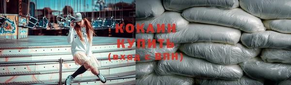 гашик Богданович