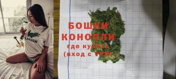 гашик Богданович