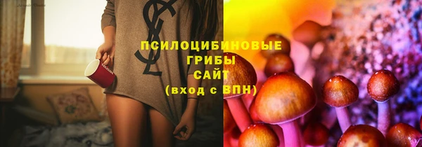 mdma Богородицк