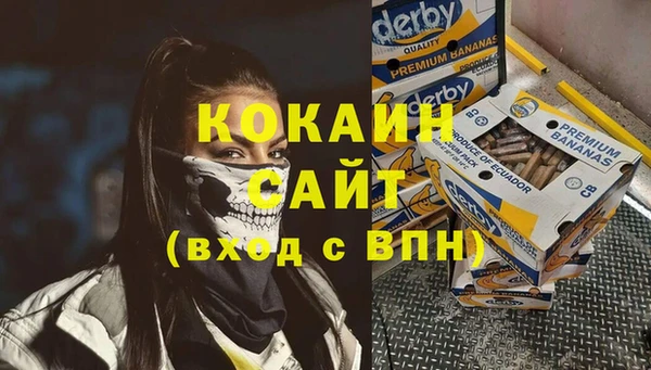 гашик Богданович