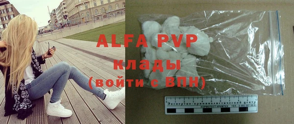 гашик Богданович