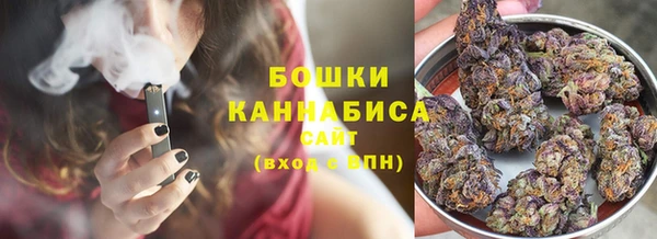 гашик Богданович