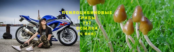 амфетамин Богородск