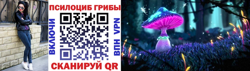 как найти закладки  Михайловка  Галлюциногенные грибы ЛСД 